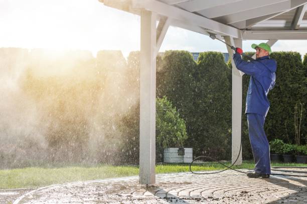 Animal Enclosure Cleaning in Sanger, TX